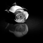 Healing The  Shadow in Relationships