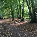 Day Light Saving & Coldplay