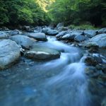 Leading from The Heart - Living From the Heart