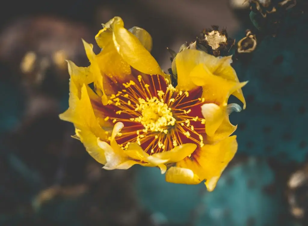 Microcosm of relationship - Living From the Heart