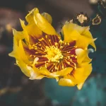 Couples Therapy Workshops