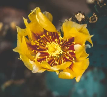 Couples Therapy Workshops