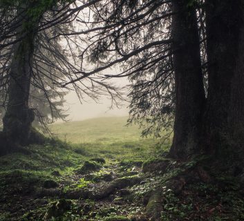 Meeting The Shadow in Love