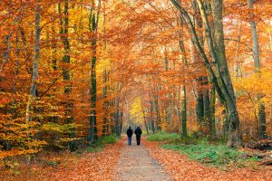 Why Good Relationships Slowly Drift Apart - Living From The Heart - Living From The Heart Couples Therapy London