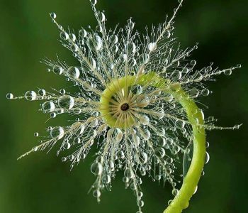 Sacred geometry
